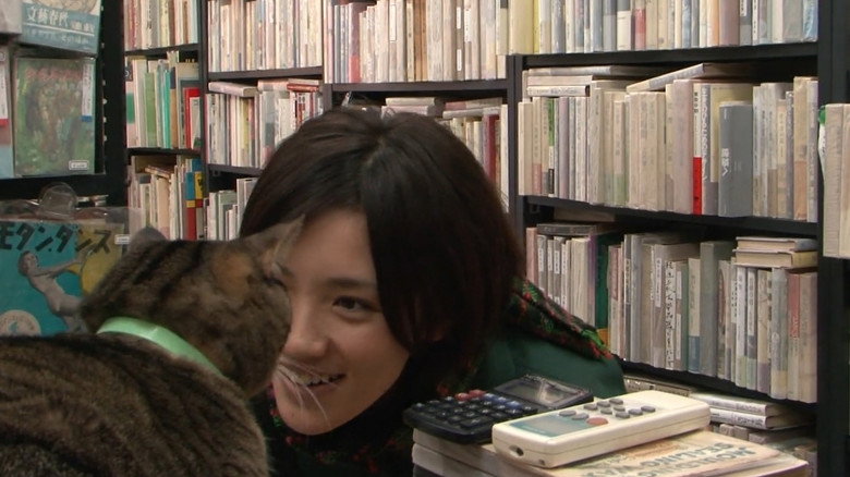 I’m a Cat Stalker backdrop 4