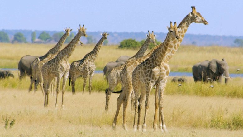 Chobe: Land of Learning