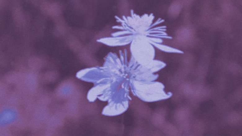 Oskar Alegria