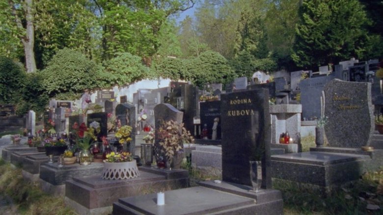 Kristýna Kapinus