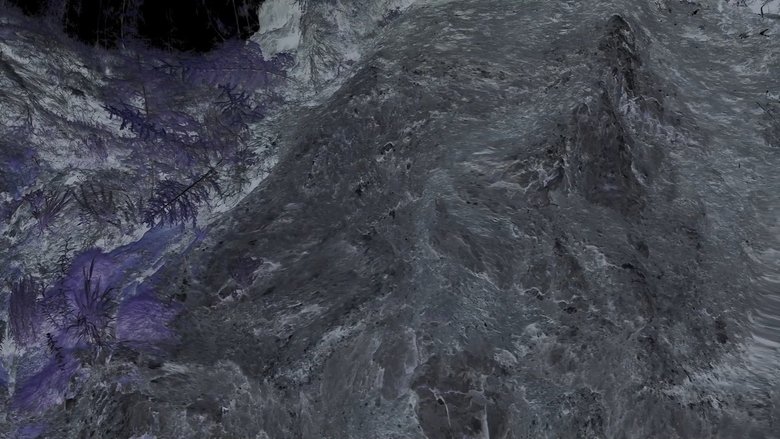 Everything Alive Becomes Quiet