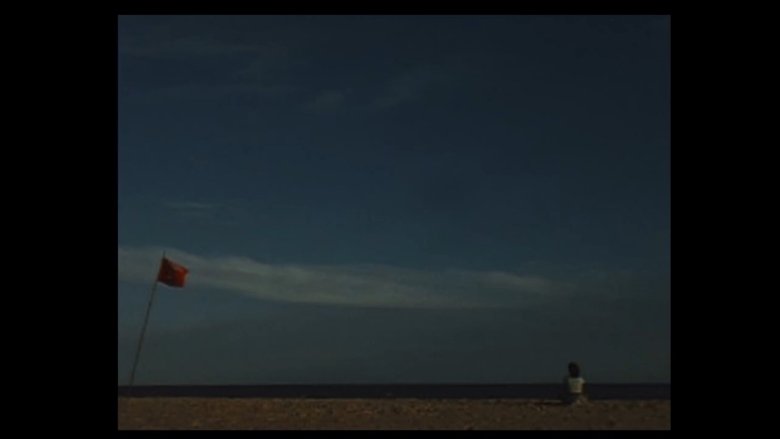 The Girl from the Beach
