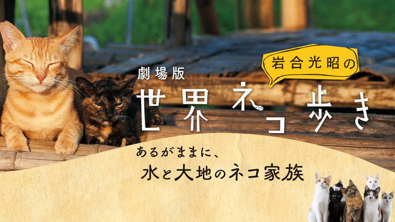 Mitsuaki Iwago's World “Cats” Travelogue backdrop 4