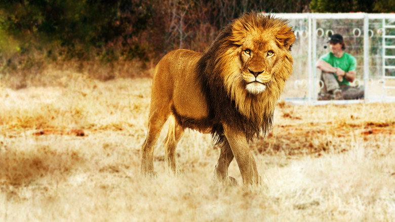 Man V. Lion backdrop 2