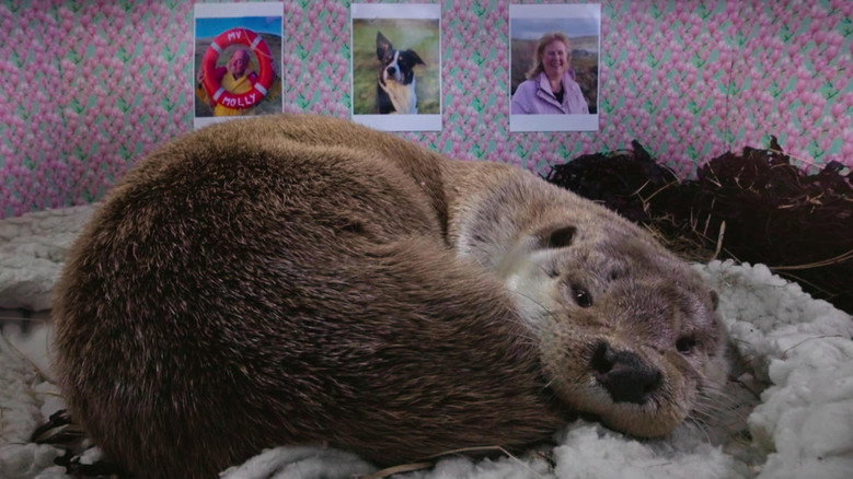 Billy & Molly: An Otter Love Story backdrop 2