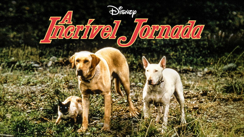 The Incredible Journey backdrop 3