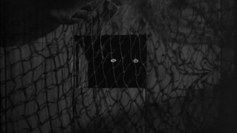 Sh! The Octopus backdrop 2