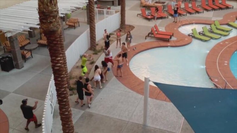 Vacation Gone Wrong