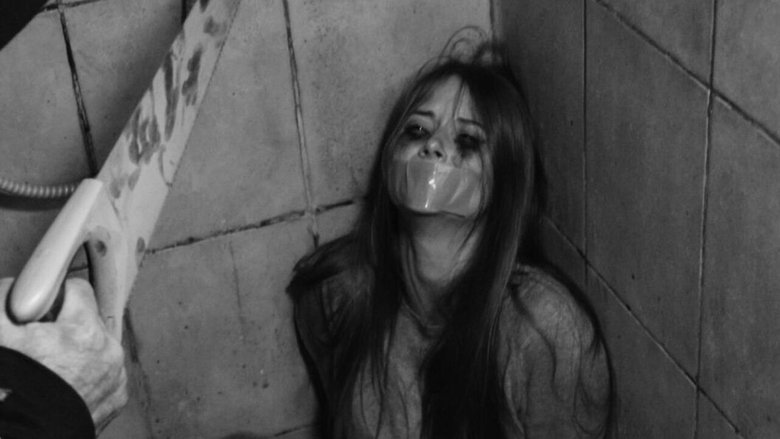 Arno Pluquet