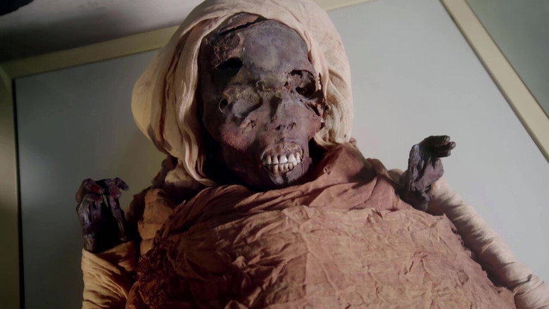 Mummy Mysteries backdrop 3