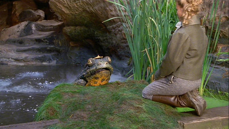 The Frog Prince backdrop 2