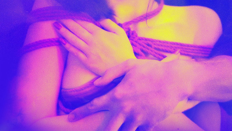 Sex, Explained backdrop 4