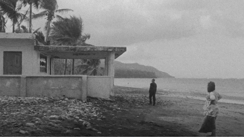 When the Waves Are Gone backdrop 5
