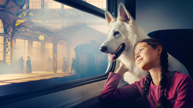 Lampo, the Travelling Dog backdrop 5