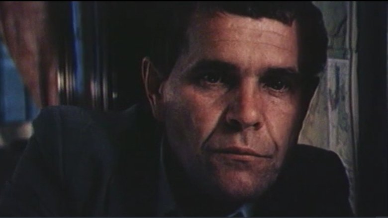 Vladimir Kuznetsov