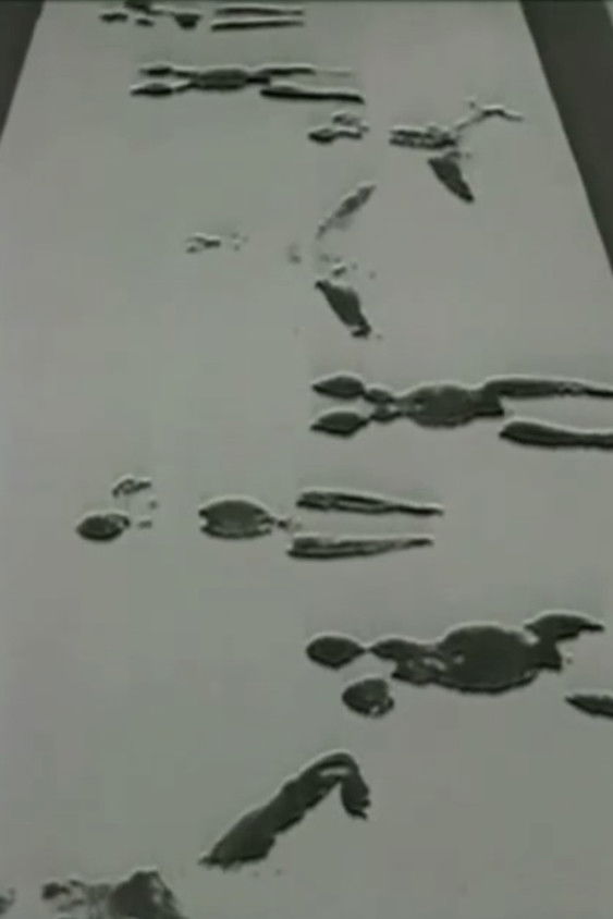 Anthropometries of the Blue Period and Fire Paintings