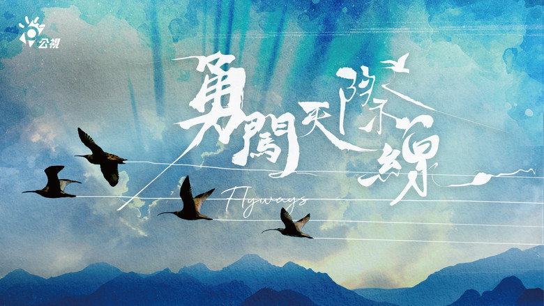Flyways: The Untold Journey of Migratory Shorebirds backdrop 2