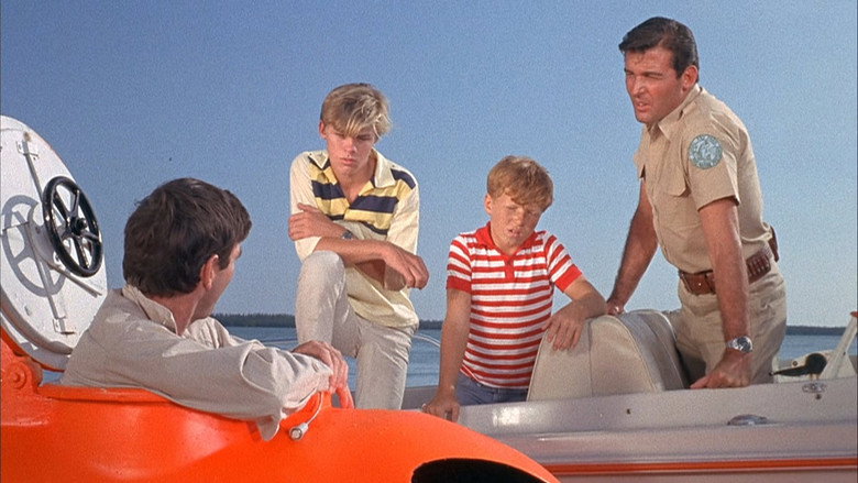 The Call of the Dolphin