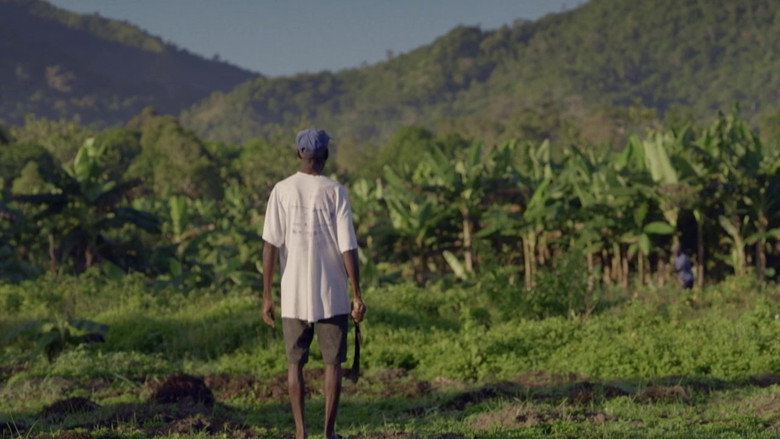 Haïti, la rançon de l'indépendance backdrop 2