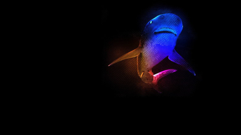 Mothersharker backdrop 2