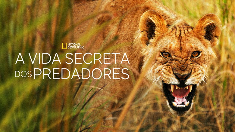 Secret Life of Predators backdrop 7