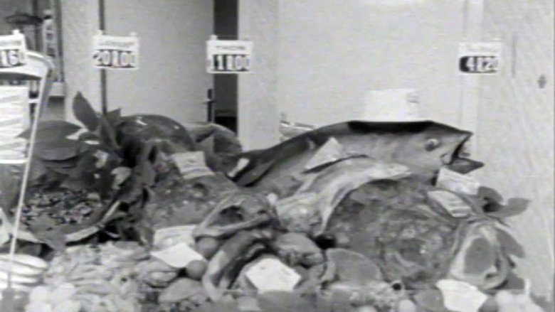 International Operations