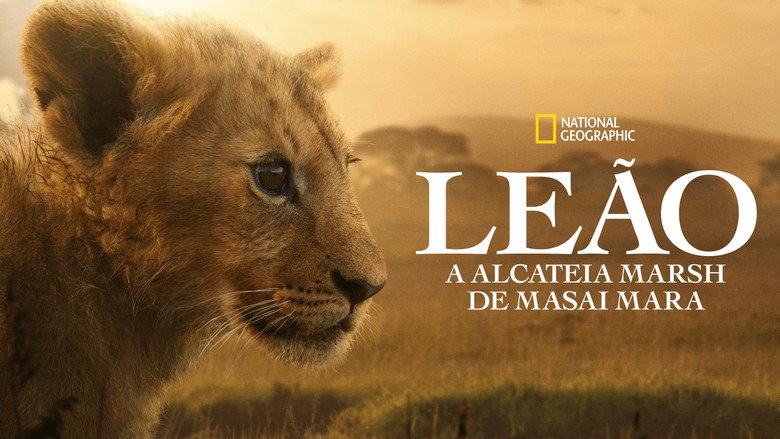 LION backdrop 9