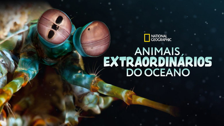 Ocean's Weirdest backdrop 4