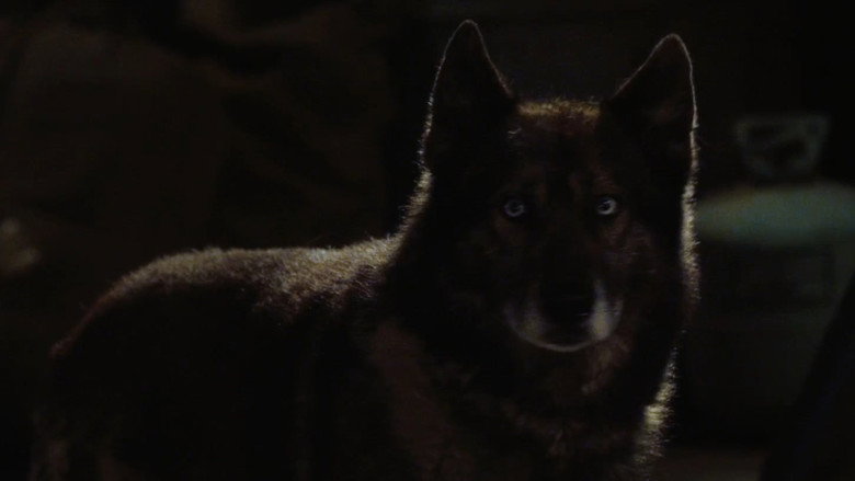 Howling backdrop 5
