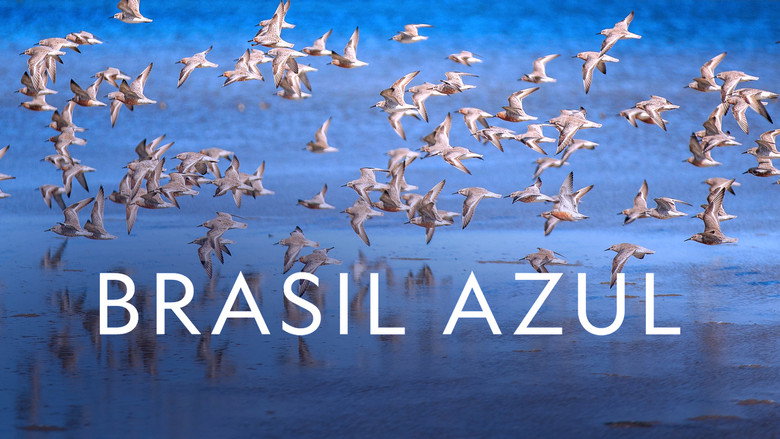 Blue Brazil backdrop 3