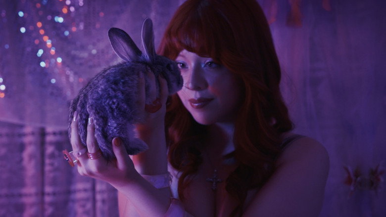 Luna Rosa backdrop 5