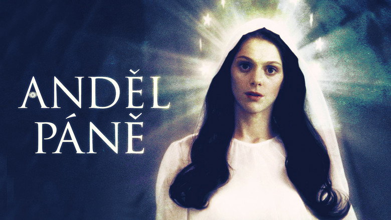 Angel backdrop 5
