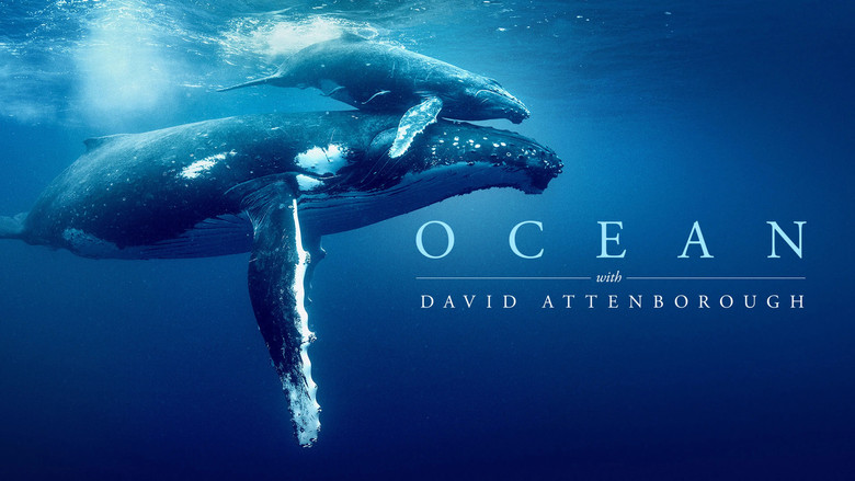 Ocean with David Attenborough backdrop 4