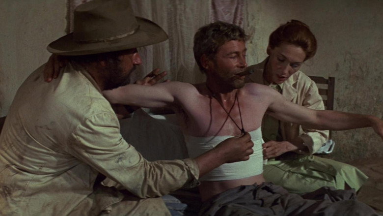 Murphy's War backdrop 2