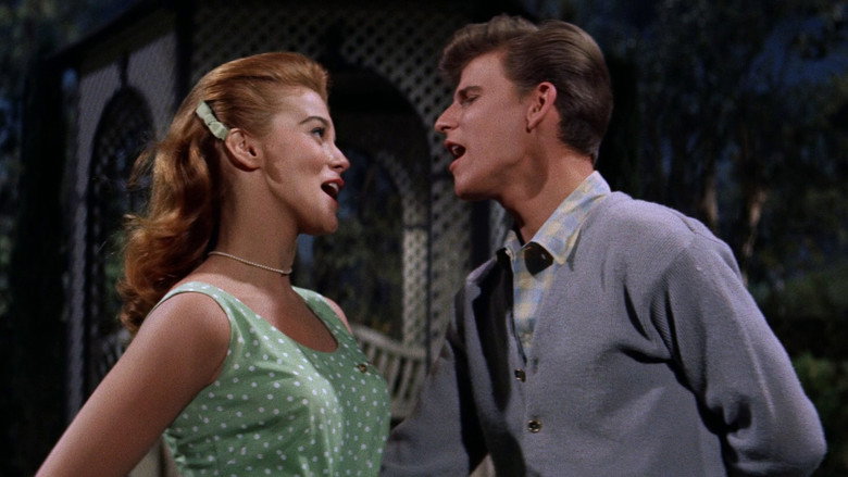 Bye Bye Birdie backdrop 2