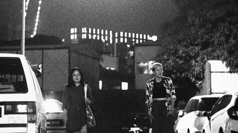 We Are The Jungle backdrop 1