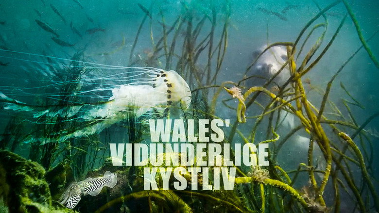 Wonders of the Celtic Deep backdrop 4