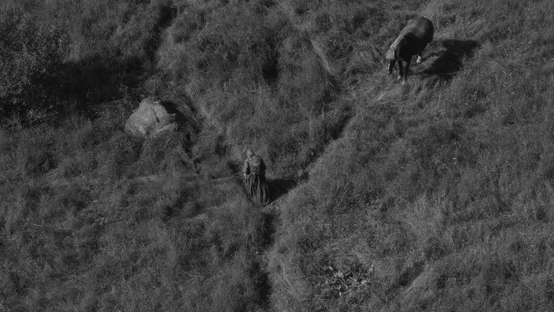 On This Land backdrop 6