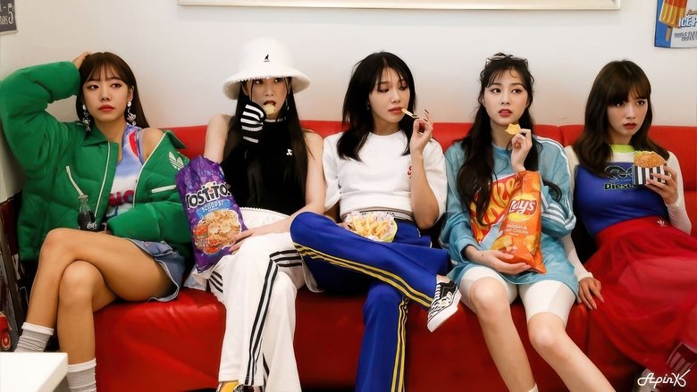 2023 Apink FANCONCERT Pink Drive