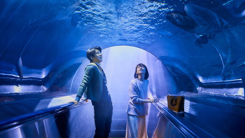 Your Love Song backdrop 8