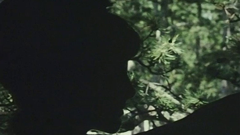 Eneide backdrop 6