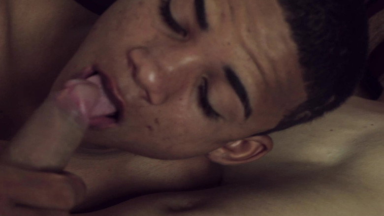 Cock Lovers backdrop 2