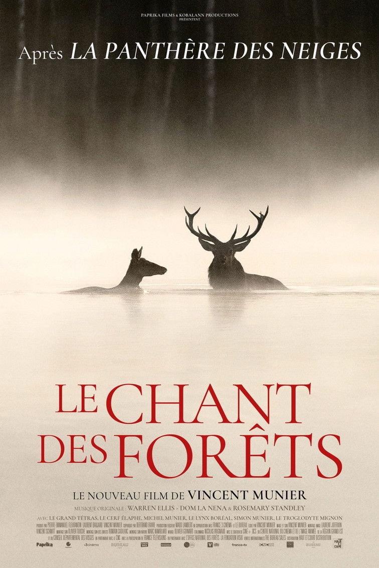 Le chant des forêts