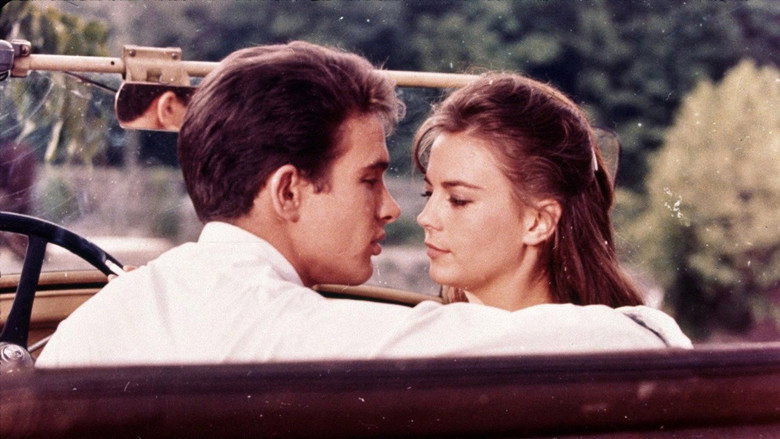 Splendor in the Grass backdrop 5