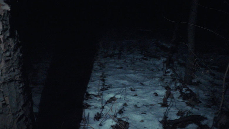 crow.mp4 backdrop 1