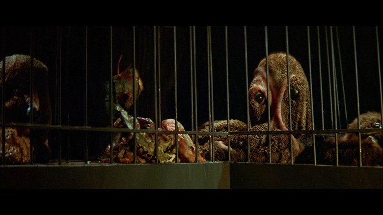 Die, Monster, Die! backdrop 2