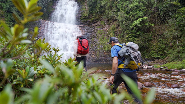 Explorer: The Last Tepui backdrop 7