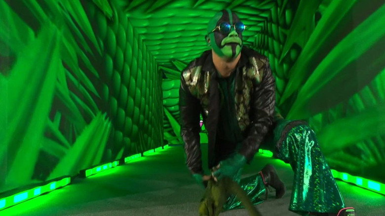 Royal Rumble 2026 backdrop 8