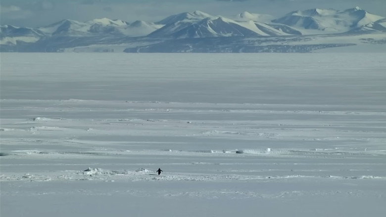 Encounters at the End of the World backdrop 2
