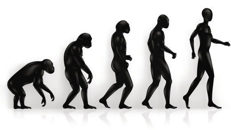 Aux origines de l'humanité